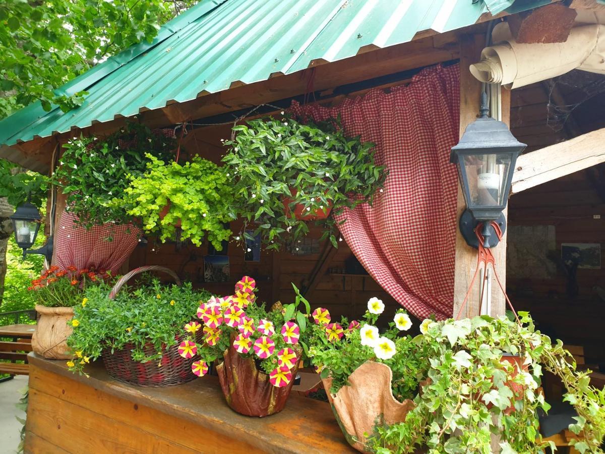Hotel Kamp Vrbnica Plužine Exterior foto